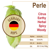Perle (GR) Hops